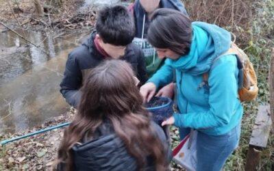 Une visite enquête théâtralisée en Beaujolais : « L’Affaire du Morgon » à Gleizé