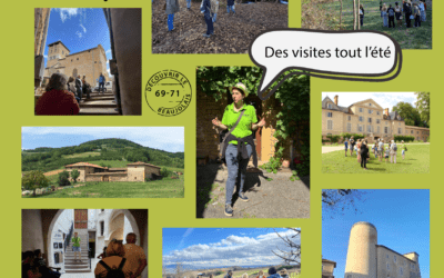 des visites originales à vivre en famille Cet été, avec Diszy®