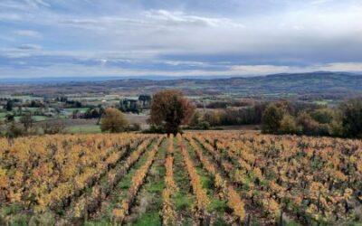 6 beaux points de vue dans le Beaujolais : les coups de cœur de Diszy