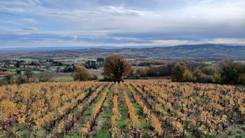 panorama_bagnols_automne©j.rivier